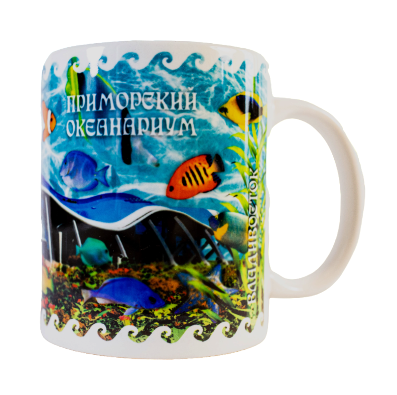 IMG_9369-PhotoRoom.png-PhotoRoom