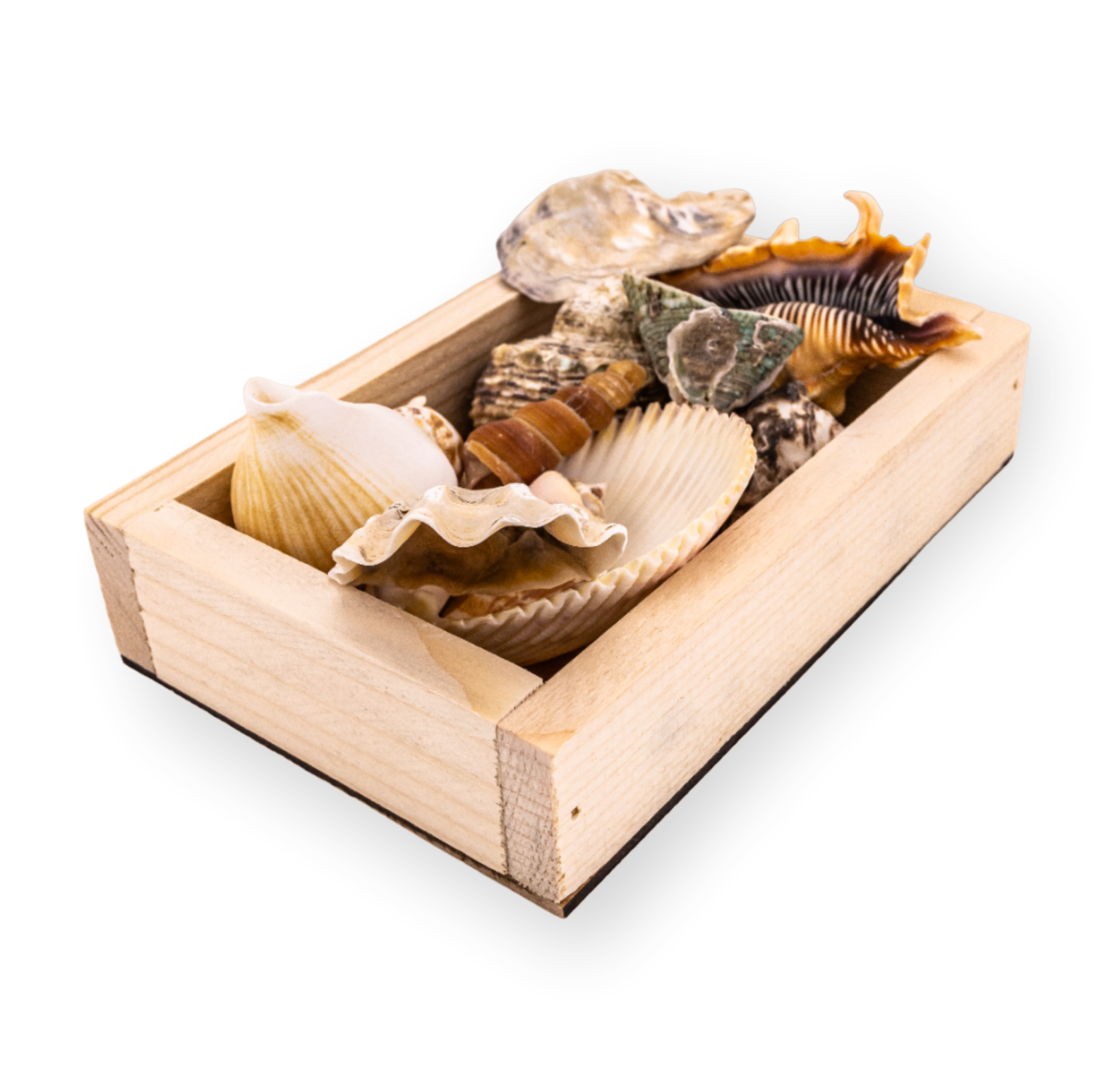 Безымянный-11ро