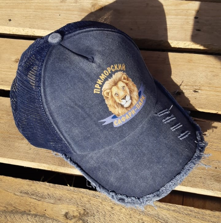 Изображение WhatsApp 2025-07-04 в 18.40.09_f83d10c2