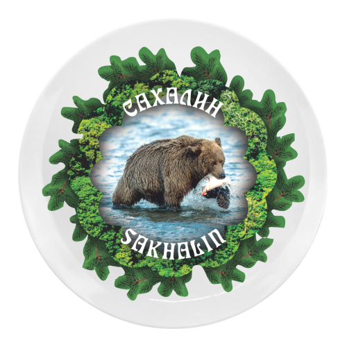 bear 17 Sakhalin plate 3 models 67f