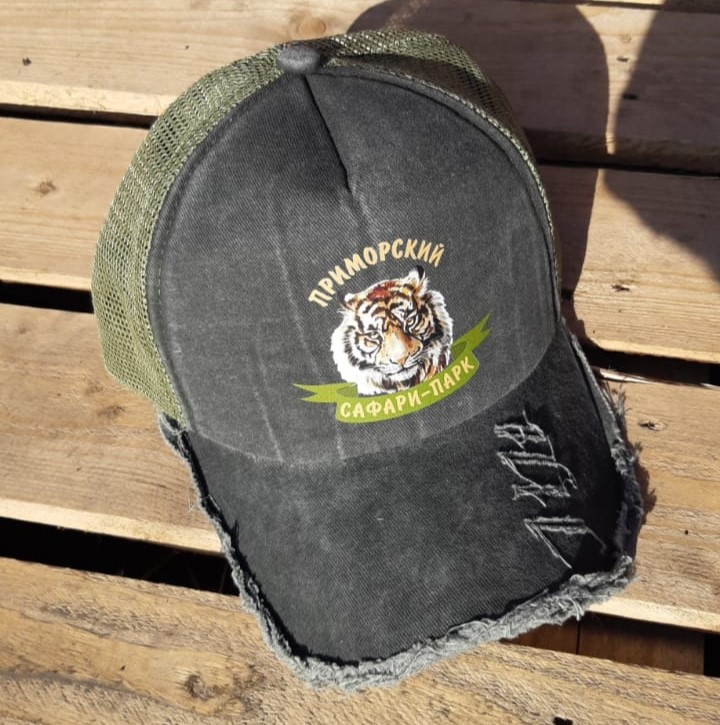 Изображение WhatsApp 2025-07-04 в 18.40.00_0656470f