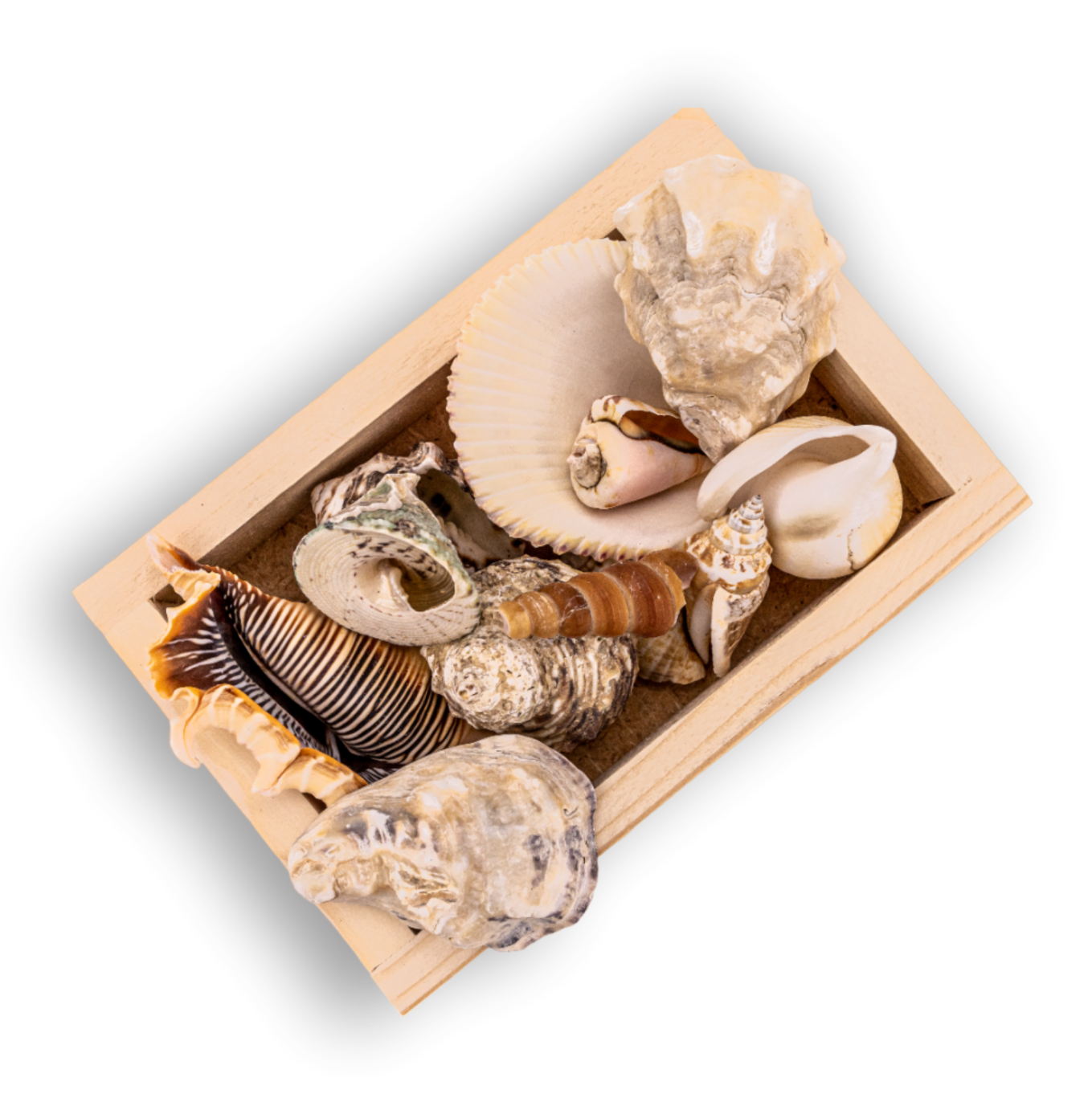 Безымянный-11р