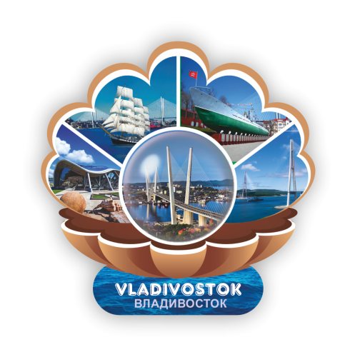 дм-69 микс shell linse ДМ-81 ДМ-82 ДМ-83 4