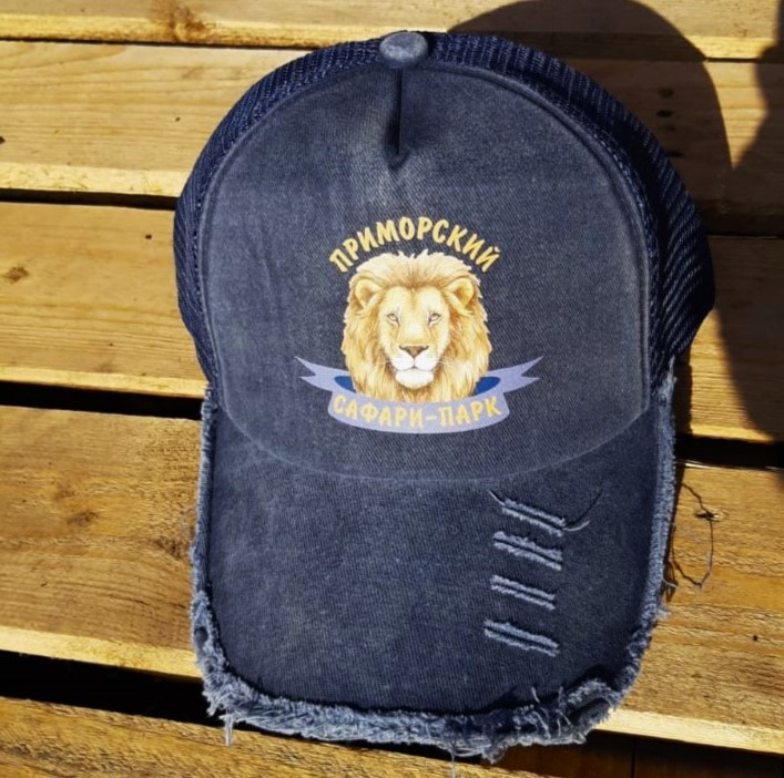 Изображение WhatsApp 2025-07-04 в 18.39.44_5e38609f