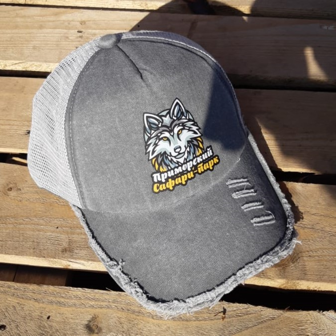 Изображение WhatsApp 2025-07-04 в 18.41.56_6d289437