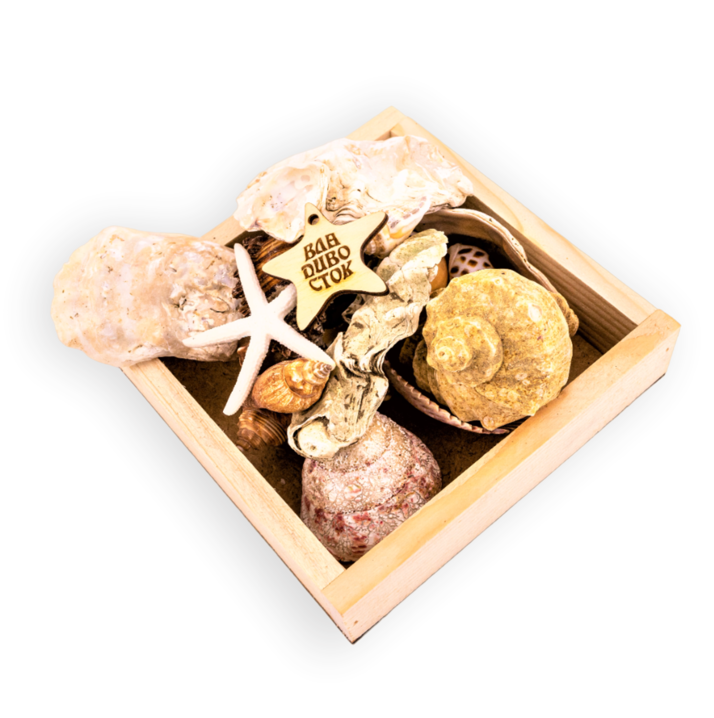 Безымянный-11л