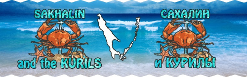 Изображение WhatsApp 2024-05-15 в 07.04.39_73bb2630