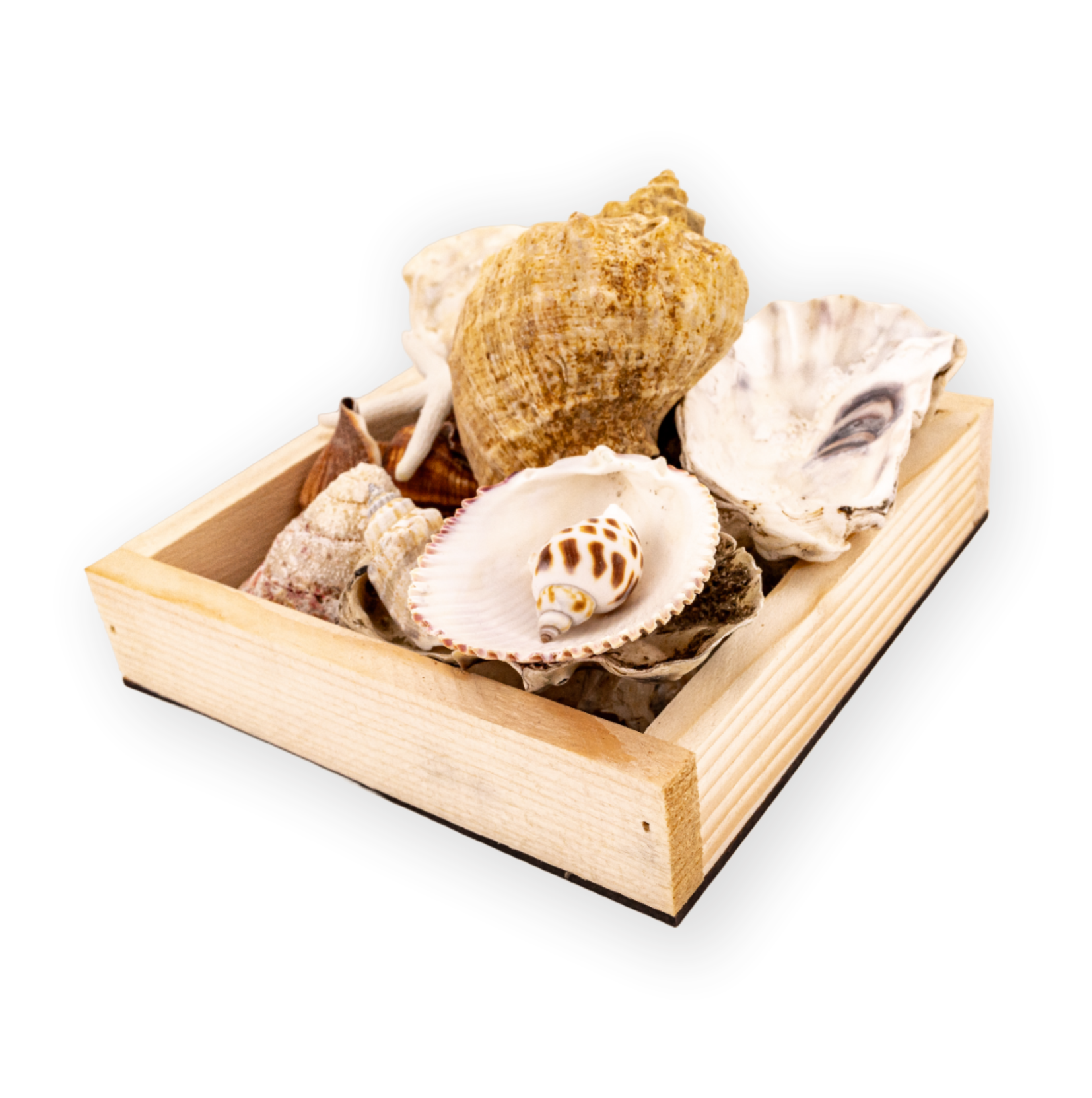 Безымянный-11ло