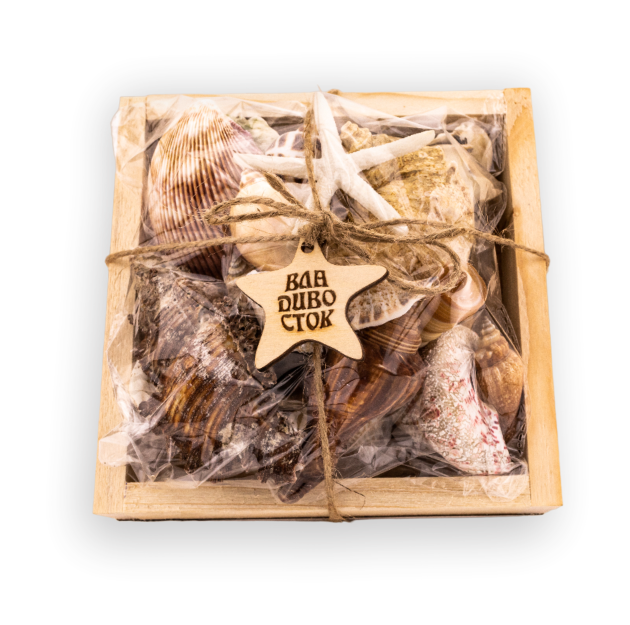 Безымянный-11д